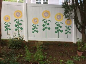 white fence with sunflowers